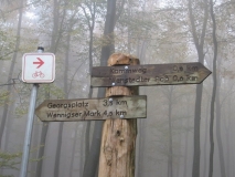 VisitFromBristol__017