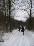 lohra06_041