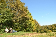 Trotz 27_km_Wanderstrecke_ganz_chillich_durch_die_Weinberge