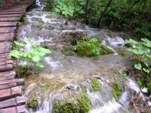 DSCN3890