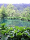 DSCN3892