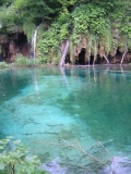 DSCN3895
