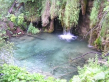 DSCN3913