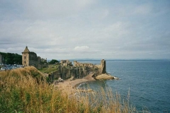 imm016