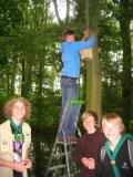 141_Pfingstlager_Wolfenb__ttel