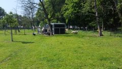 Arbeitseinsatz
