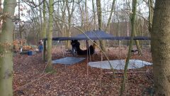 Schwarzzeltdach im Wald