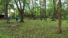 Gruppenstunde im Pfarrwäldchen