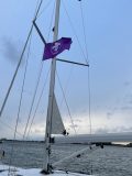 Segeltörn unter lila Flagge