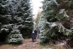 Winterwald