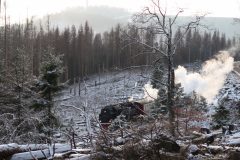 Winterwald